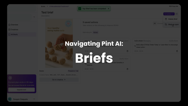 Navigating Pint AI: Briefs